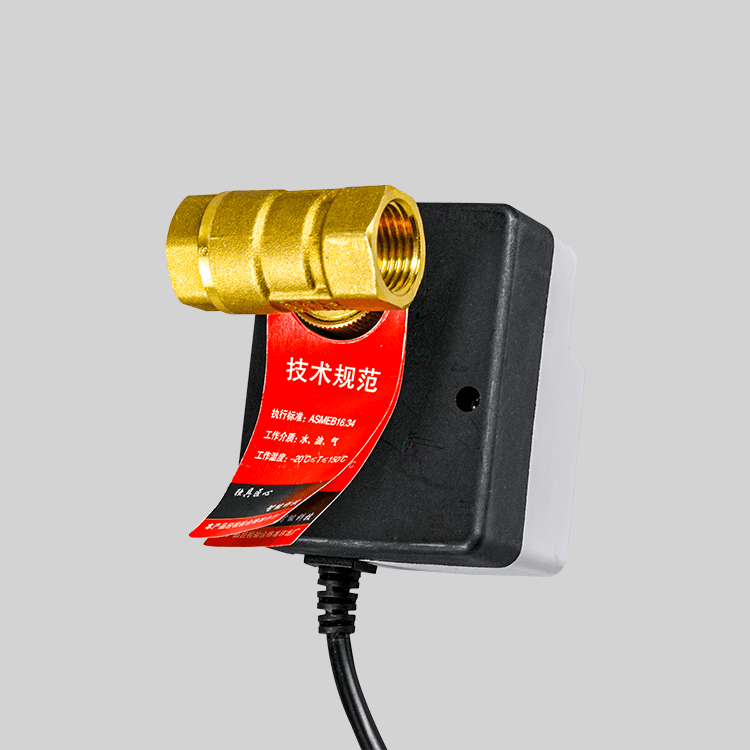 Dy-303 小型耐腐蝕手自一體電動(dòng)球閥220V