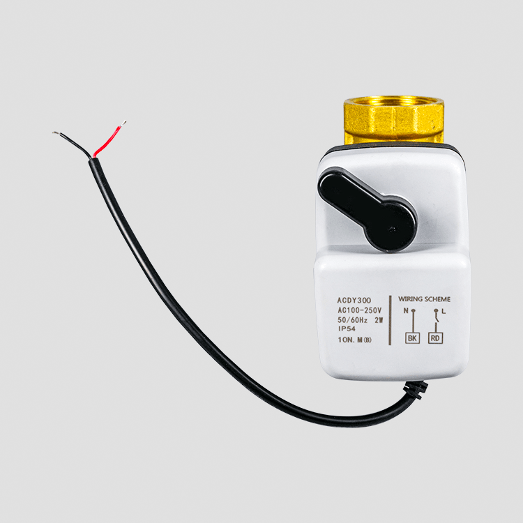 Dy-303 小型耐腐蝕手自一體電動(dòng)球閥220V